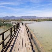 Pasarela de madera en el Parque Natural de El Hondo Crevillent-Elche. 