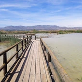 Pasarela de madera en el Parque Natural de El Hondo Crevillent-Elche. Pasarela de madera en el Parque Natural de El Hondo Crevillent-Elche.