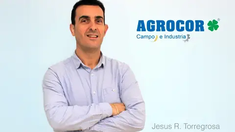 Jesús Torregrosa Jesús Torregrosa