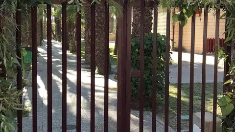 CEIP El Palmeral de Elche. CEIP El Palmeral de Elche.
