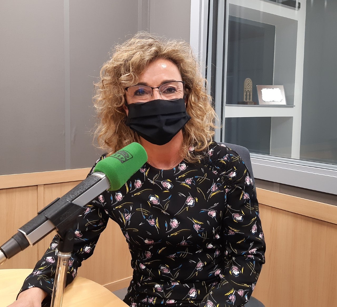 Susana Fernández, portavoz de Ciudadanos en la Junta General del Principado Susana Fernández, portavoz de Ciudadanos en la Junta General del Principado