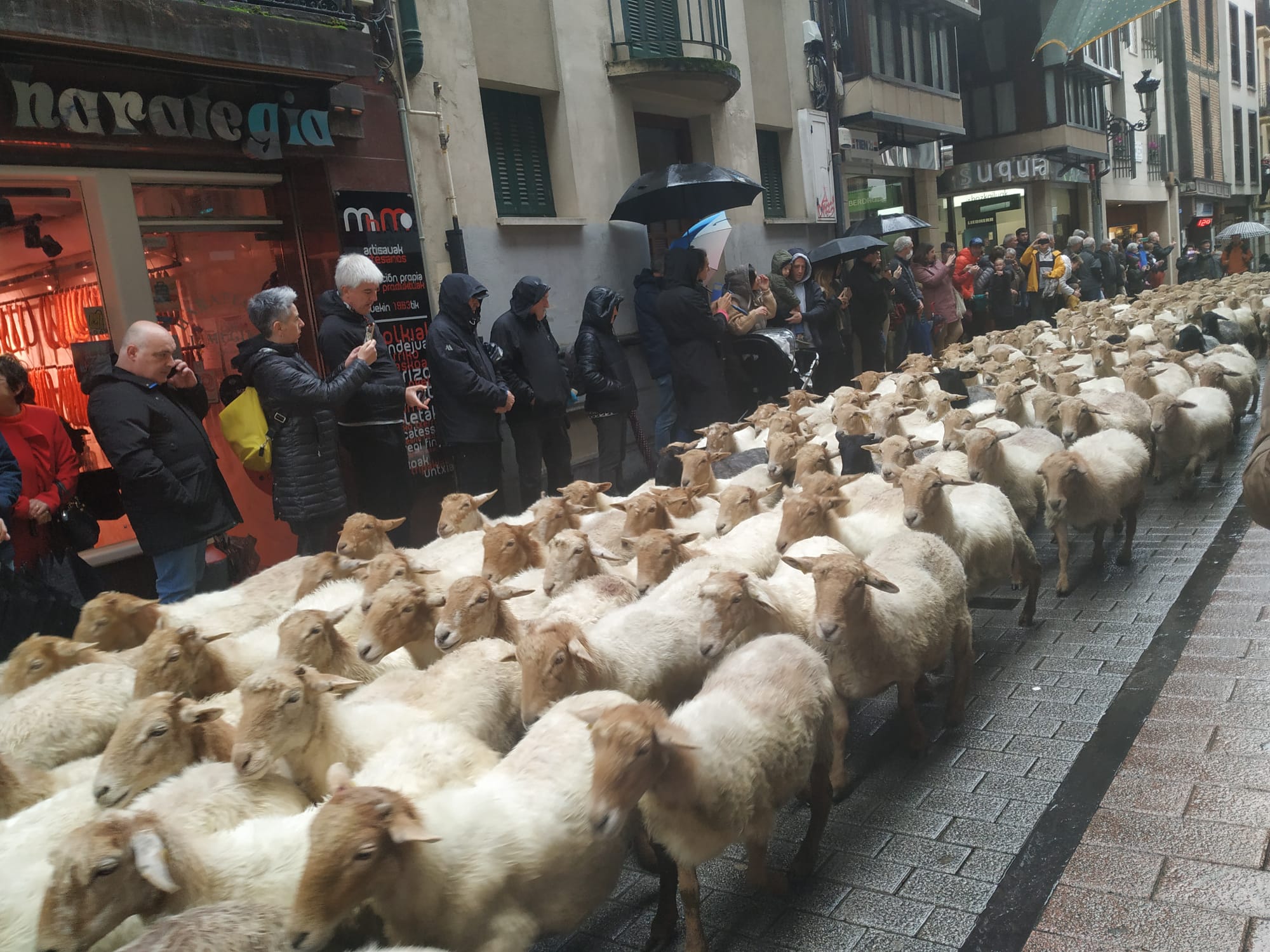 Ordizia recupera el Artzain Eguna Ordizia recupera el Artzain Eguna