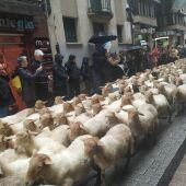 Más de 2.000 ovejas recorren el Casco Antiguo de Ordizia 