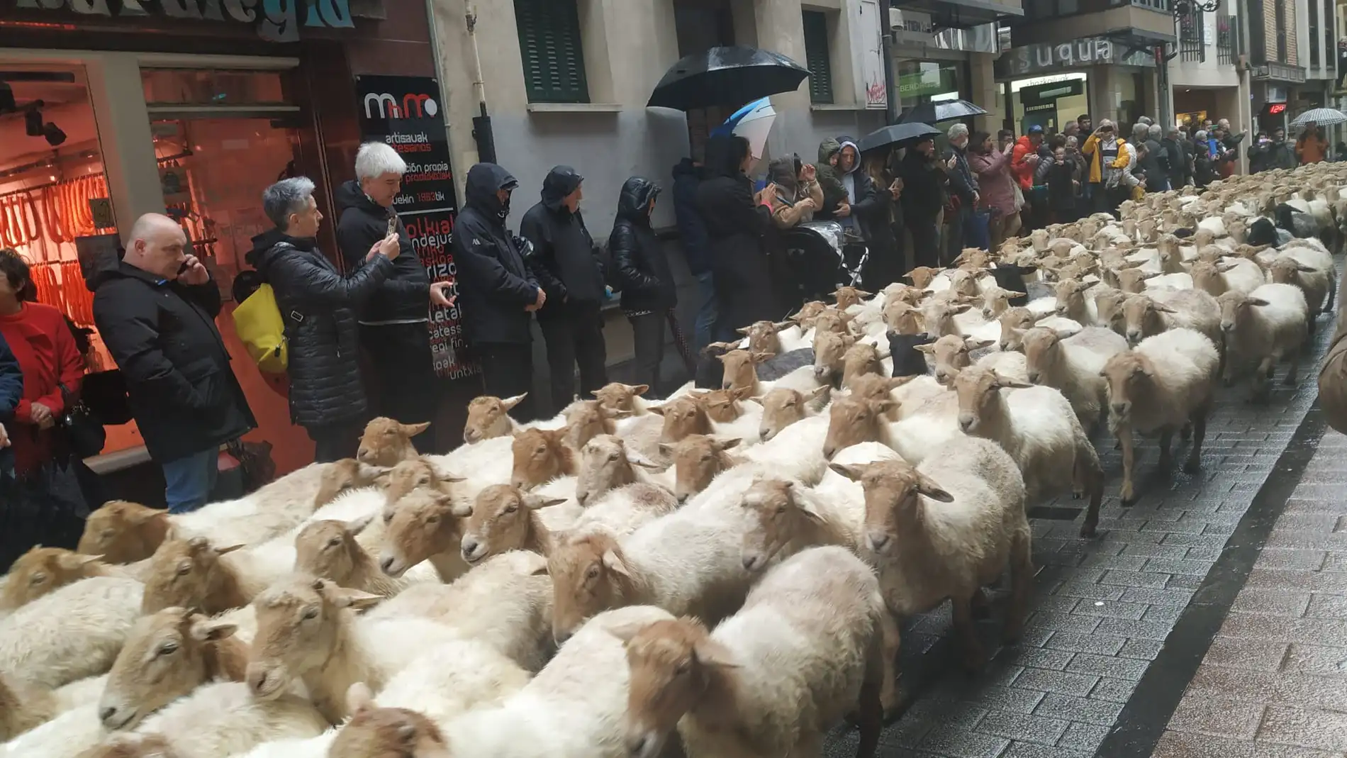 Más de 2.000 ovejas recorren el Casco Antiguo de Ordizia 