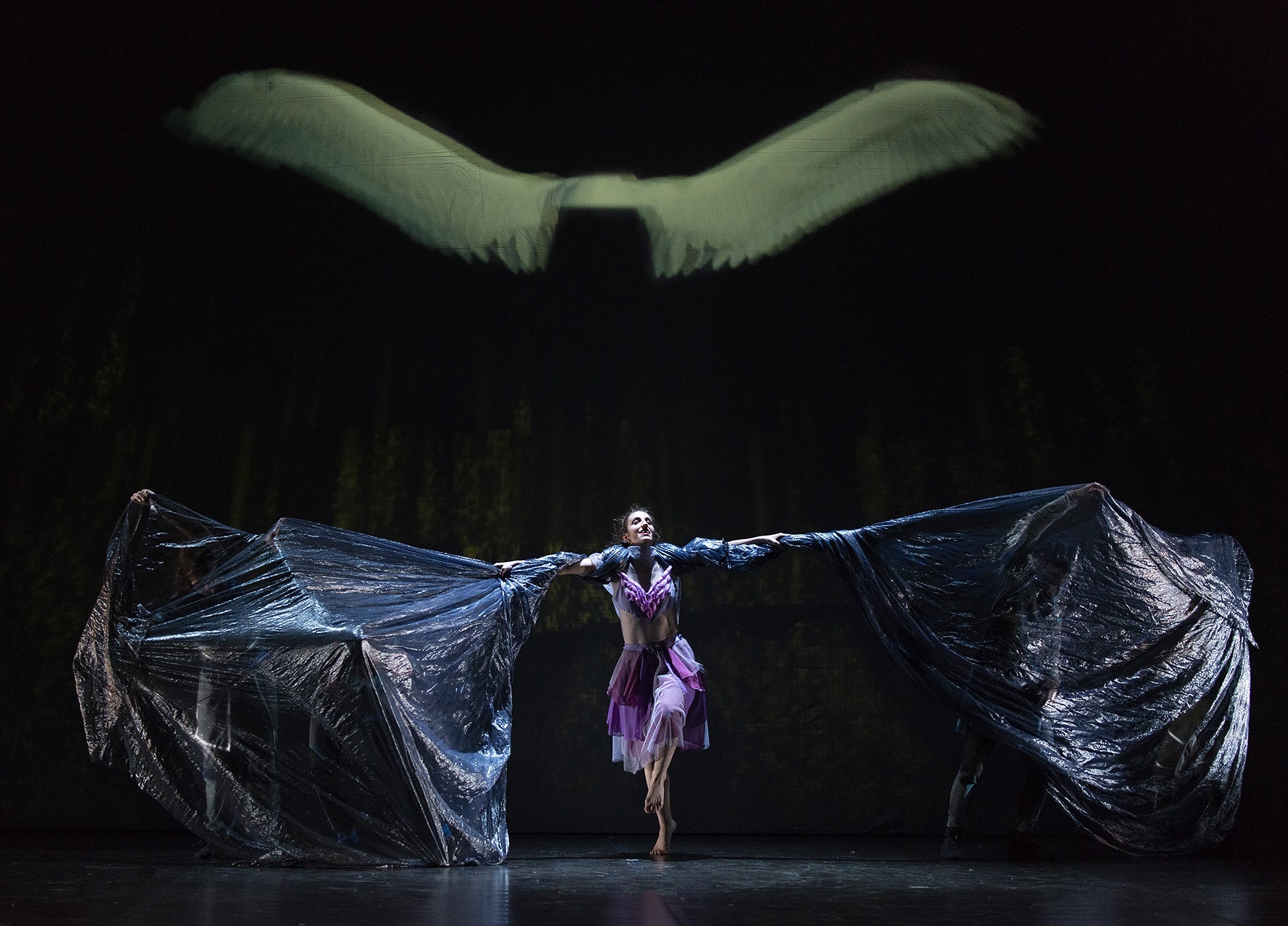 "El Lago de los Cisnes 3D” una original apuesta multimedia "El Lago de los Cisnes 3D” una original apuesta multimedia