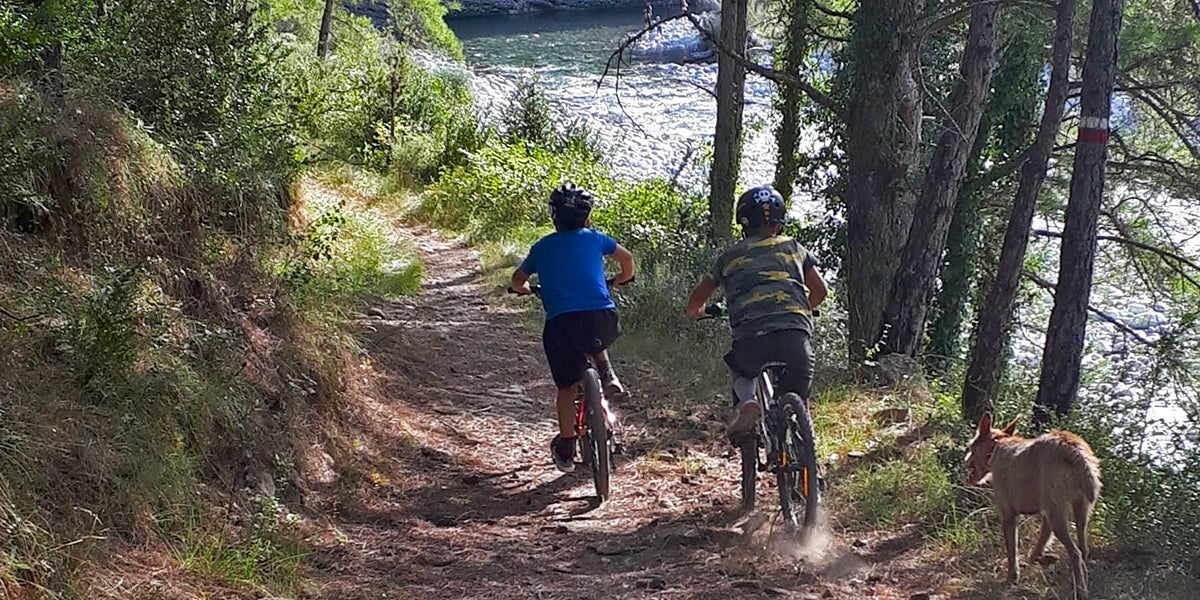 Zona Zero Pirineos, Medalla al Mérito Social Zona Zero Pirineos, Medalla al Mérito Social