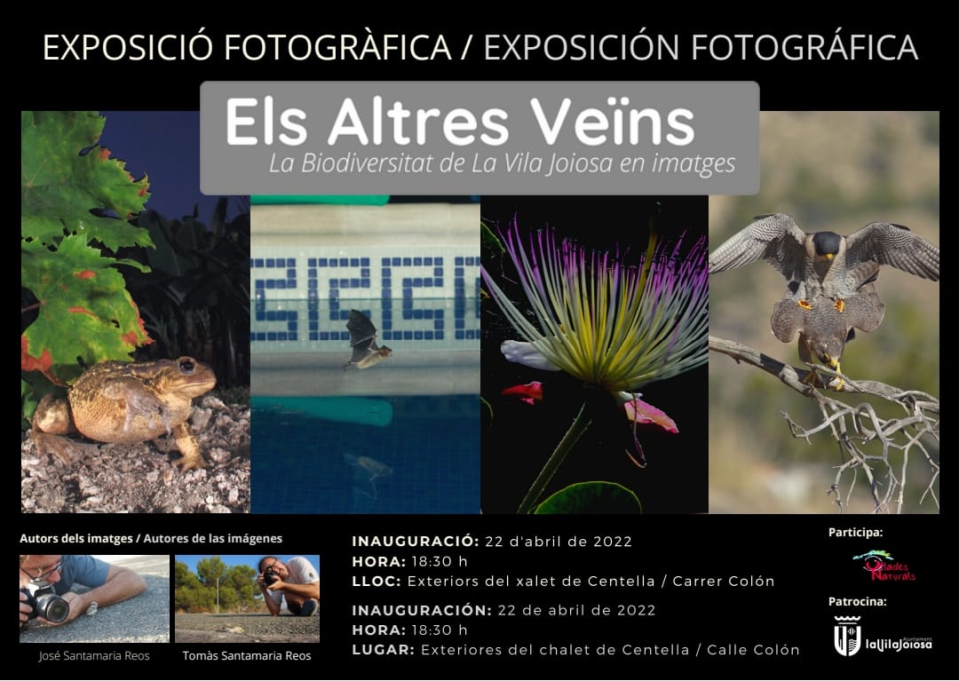 La Vila Joiosa inaugurará mañana la exposición 'Els Altres Veïns' de los hermanos Santamaría La Vila Joiosa inaugurará mañana la exposición 'Els Altres Veïns' de los hermanos Santamaría