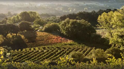 La Gastronom&iacute;a en Onda Cero, con Sabor a M&aacute;laga, marca promocional de la Diputaci&oacute;n Provincial