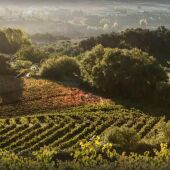 La Gastronomía en Onda Cero, con Sabor a Málaga, marca promocional de la Diputación Provincial