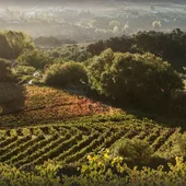 La Gastronomía en Onda Cero, con Sabor a Málaga, marca promocional de la Diputación Provincial La Gastronomía en Onda Cero, con Sabor a Málaga, marca promocional de la Diputación Provincial