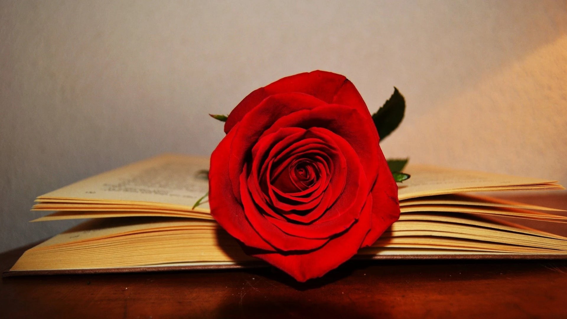 Cuándo es Sant Jordi 2022 Cuándo es Sant Jordi 2022