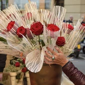 Parada de rosas en Sant Jordi Parada de rosas en Sant Jordi