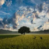 "Cuidar a nuestra Madre Tierra" lema 2022 del Día de la Tierra "Cuidar a nuestra Madre Tierra" lema 2022 del Día de la Tierra