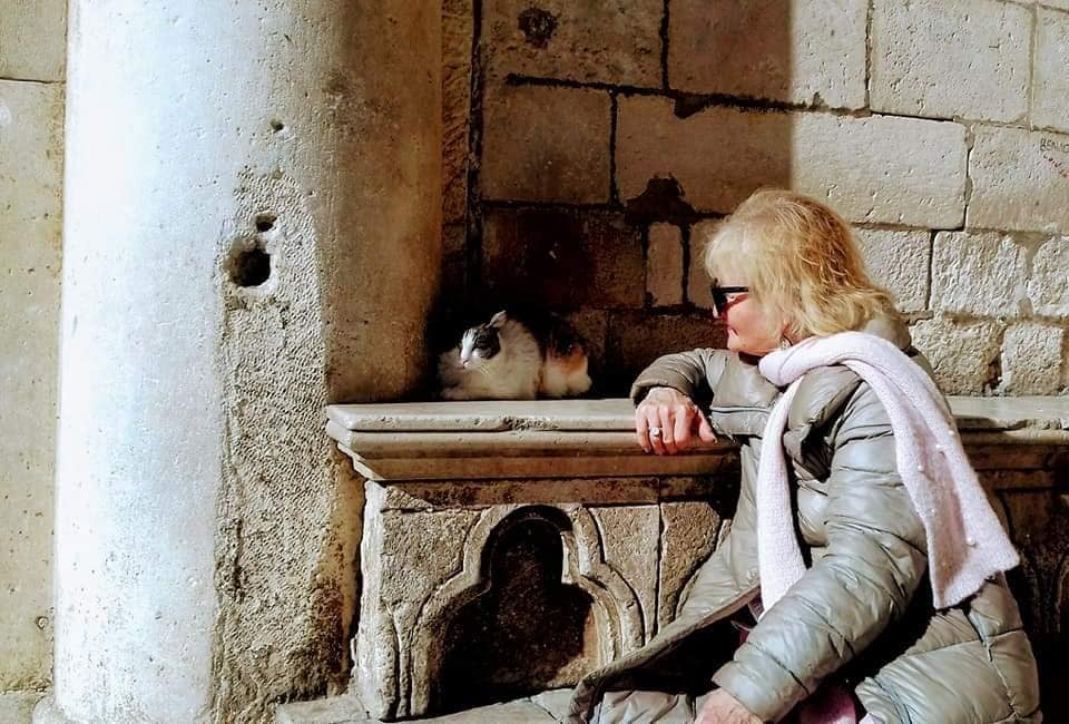 Anastasia, la gata croata desalojada: "No molesto a nadie, los turistas flipan conmigo y se hacen fotos" Anastasia, la gata croata desalojada: "No molesto a nadie, los turistas flipan conmigo y se hacen fotos"