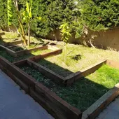 La Concejalía de Agricultura dota de un huerto escolar al CEIP Los Dolses en la costa de Orihuela La Concejalía de Agricultura dota de un huerto escolar al CEIP Los Dolses en la costa de Orihuela