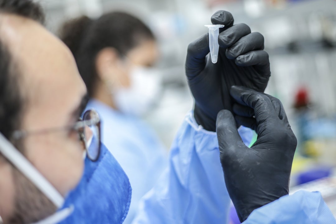 Muere el primer niño por la nueva hepatitis aguda en el Reino Unido Muere el primer niño por la nueva hepatitis aguda en el Reino Unido