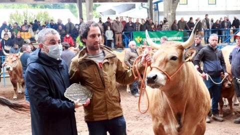 Calvo entregando uno de los premios del certamen