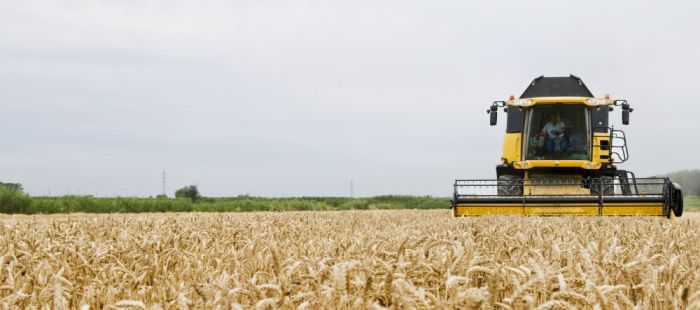Los agricultores reclaman las obras hidráulicas pendientes para hacer frente a la sequía Los agricultores reclaman las obras hidráulicas pendientes para hacer frente a la sequía