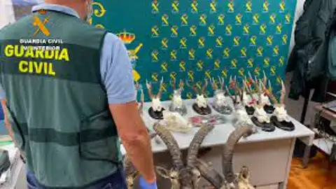 Una de las operaciones de la Guardia Civil Una de las operaciones de la Guardia Civil