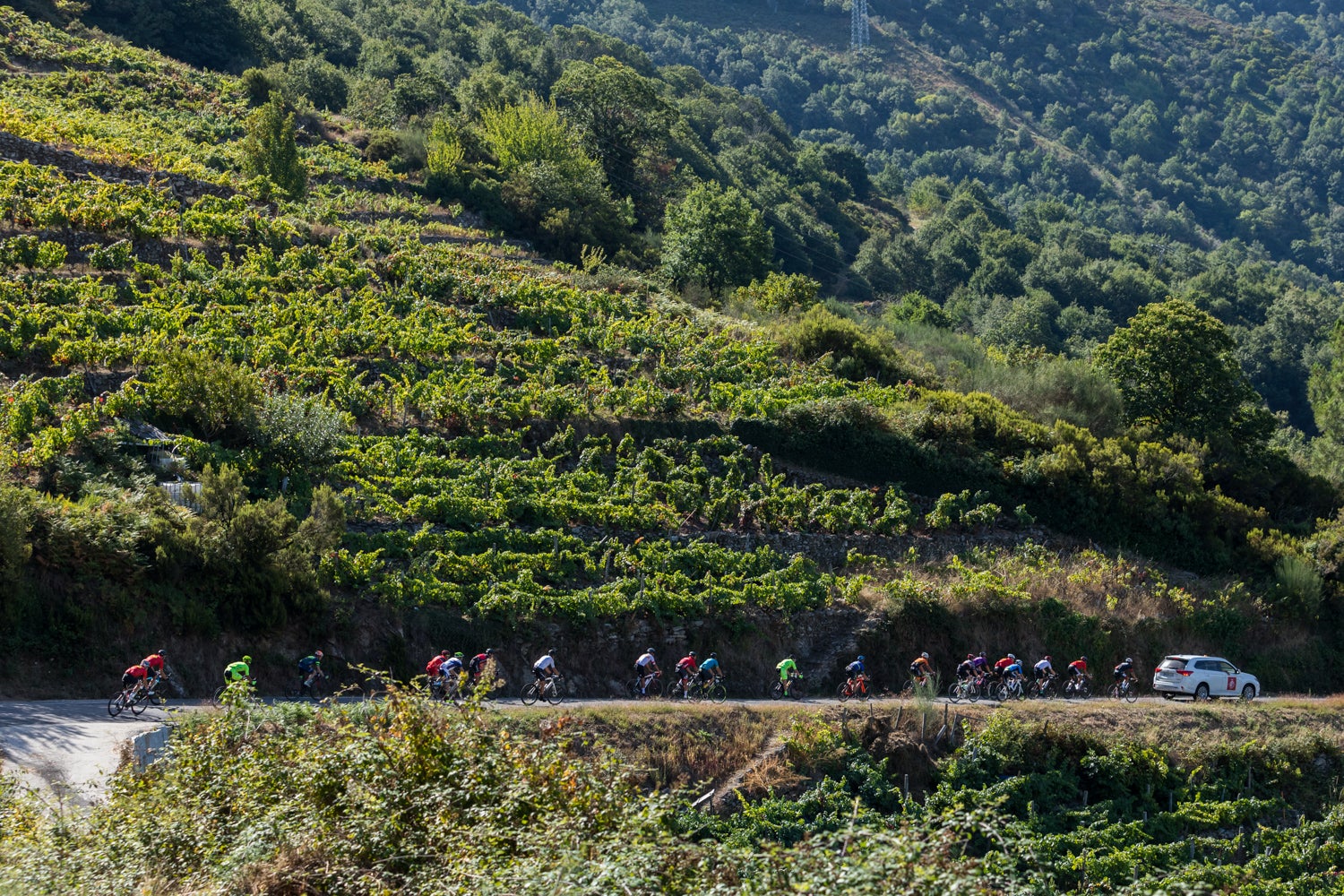 Abertas as inscricións para participar na marcha cicloturista pola Ribeira Sacra Abertas as inscricións para participar na marcha cicloturista pola Ribeira Sacra