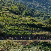 Abertas as inscricións para participar na marcha cicloturista pola Ribeira Sacra