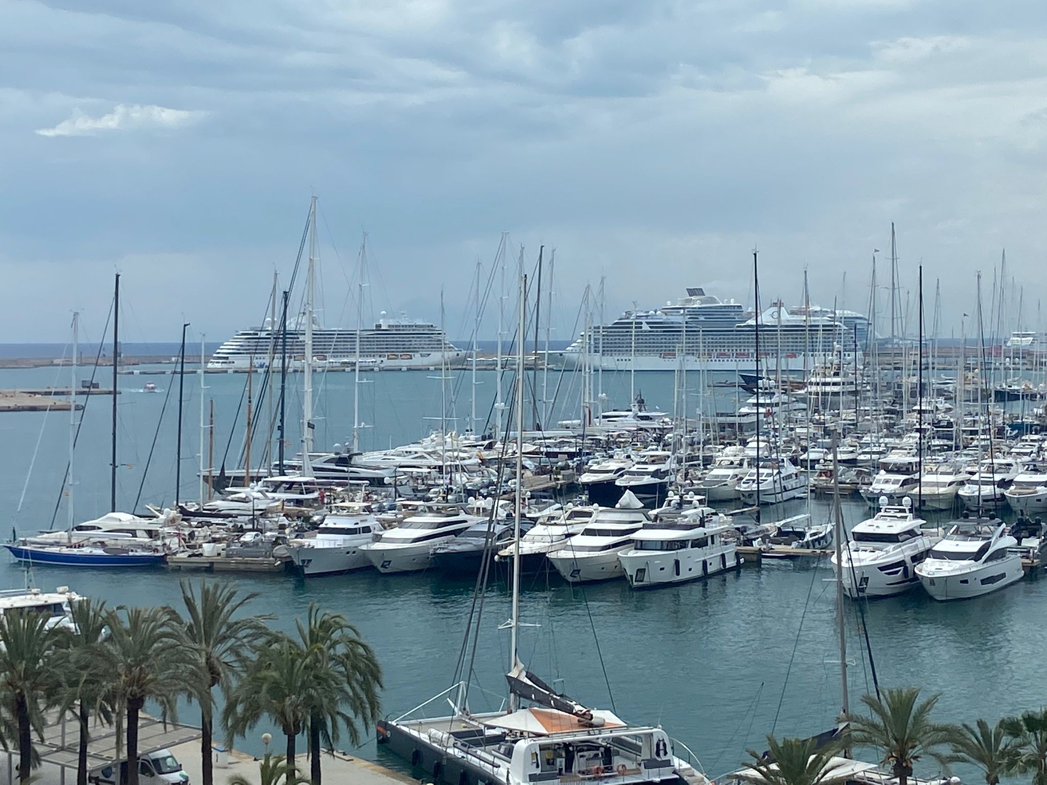 Contaminación y saturación: el diagnóstico de la Plataforma contra los Megacruceros para Palma Contaminación y saturación: el diagnóstico de la Plataforma contra los Megacruceros para Palma