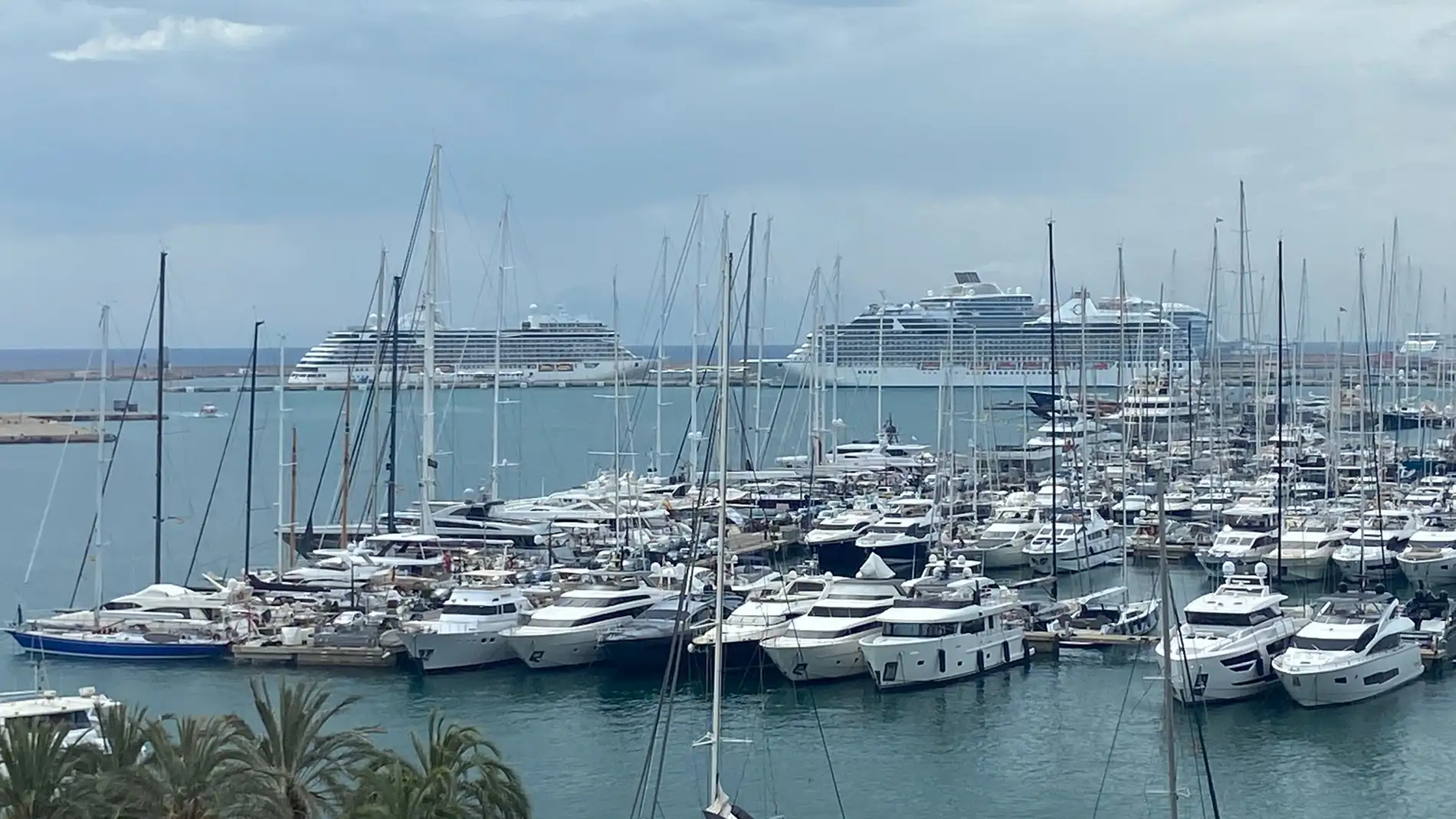 Varios cruceros atracados en el Puerto de Palma. 