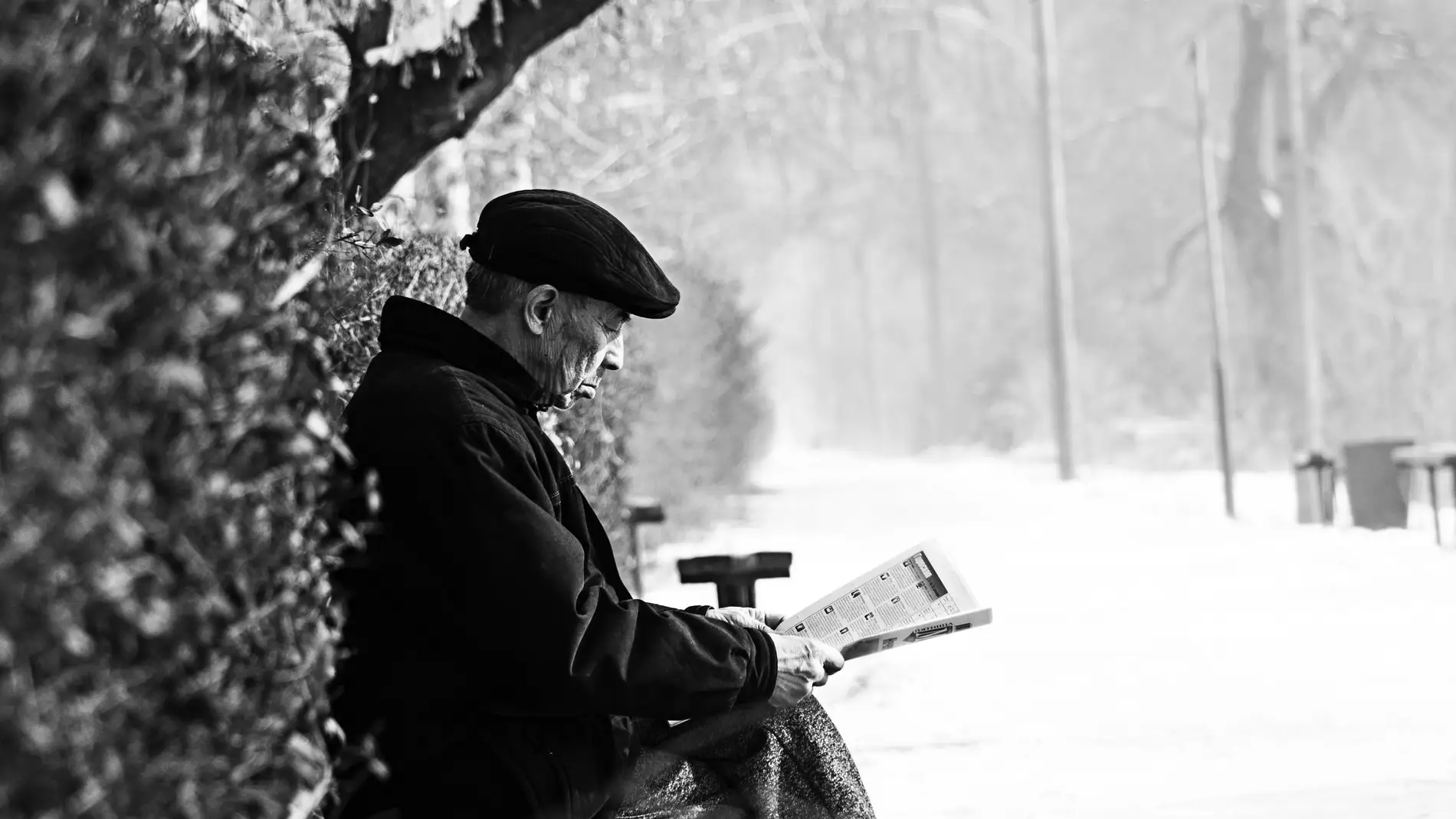 Un anciano en un banco | Foto: Pexels