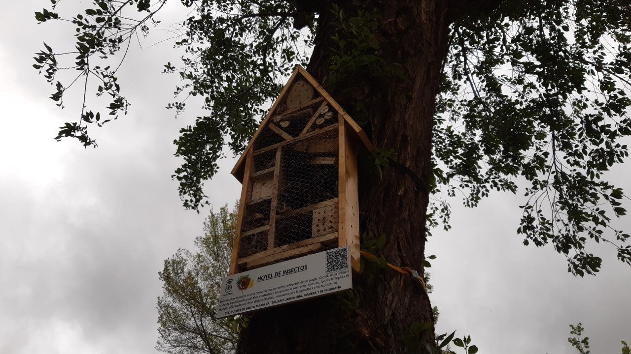 Ciudad Real cuenta con el primer hotel para insectos instalado en el Parque de Gasset Ciudad Real cuenta con el primer hotel para insectos instalado en el Parque de Gasset