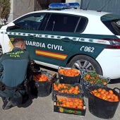 La Guardia Civil investiga a dos personas por el supuesto hurto de 175 kilos de mandarinas en San Miguel