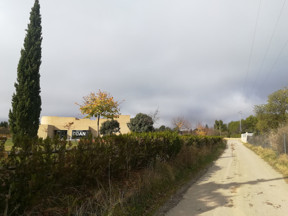 Visitas guiadas por el Soto del Isuela Visitas guiadas por el Soto del Isuela