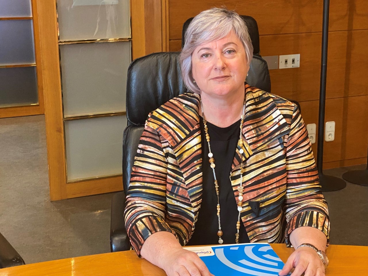 El PP propone un campus aeronáutico en el aeropuerto de Huesca El PP propone un campus aeronáutico en el aeropuerto de Huesca