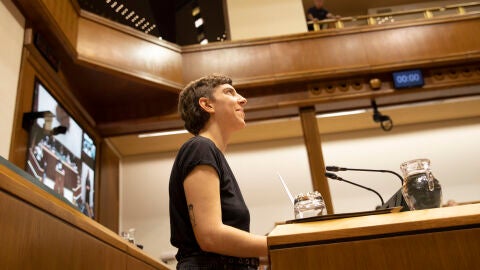 Itziar Guerendiain, portavoz de la promotora de la ILP