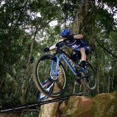 btt
