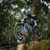btt btt