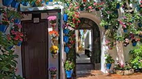 Patio de C&oacute;rdoba