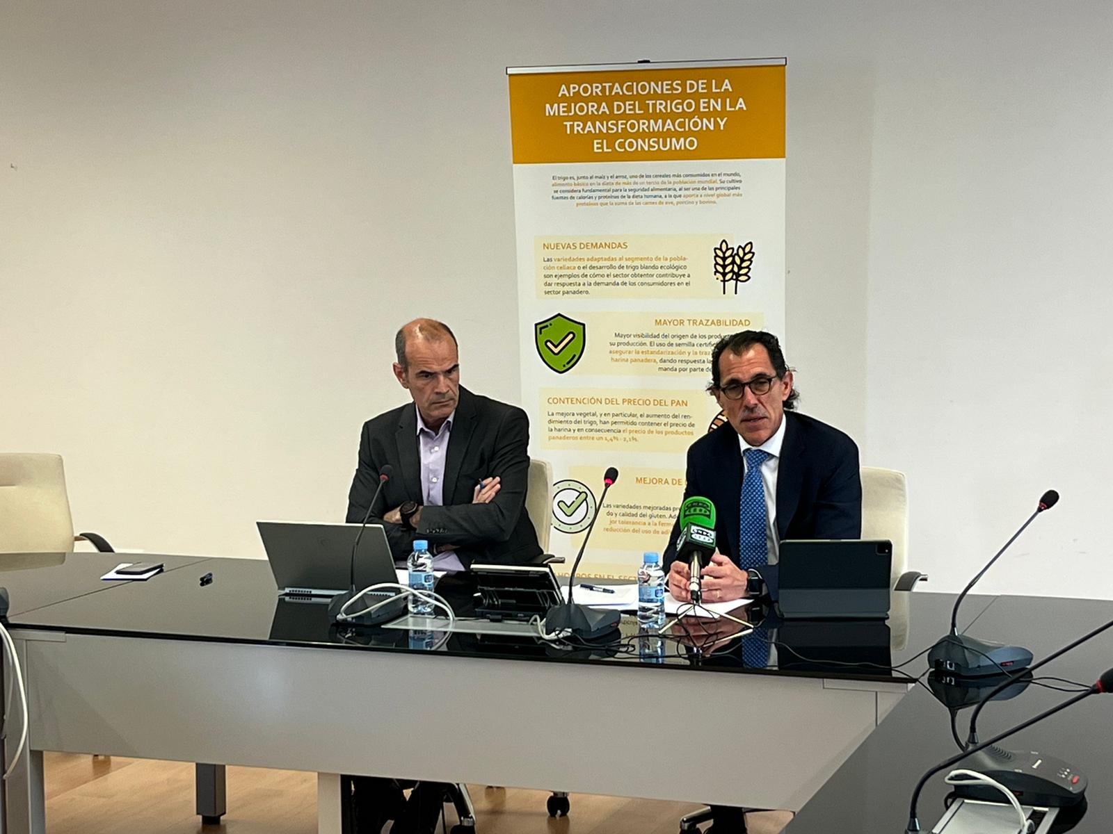Castilla - La Mancha es la segunda comunidad autónoma con más producción de trigo de nuestro país Castilla - La Mancha es la segunda comunidad autónoma con más producción de trigo de nuestro país