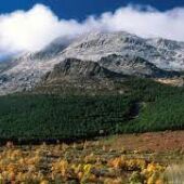 Serranía de Guadalajara.