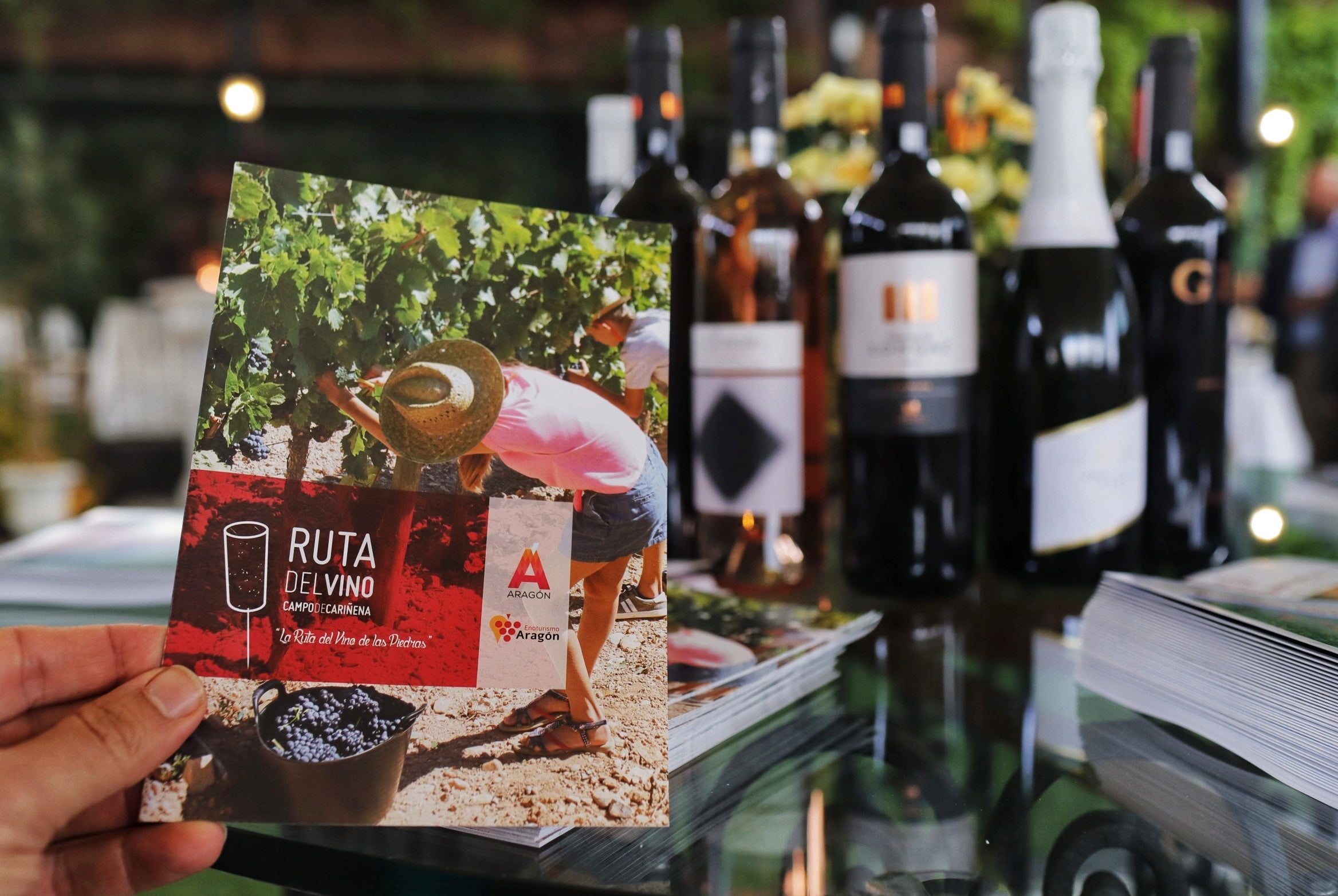 El Bus del Vino retoma sus viajes para recorrer Cariñena El Bus del Vino retoma sus viajes para recorrer Cariñena