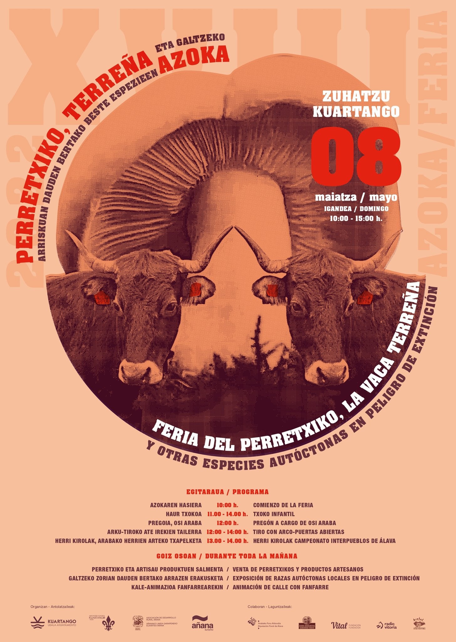 Vuelve la Feria del Perretxiko y la Vaca Terreña de Kuartango Vuelve la Feria del Perretxiko y la Vaca Terreña de Kuartango