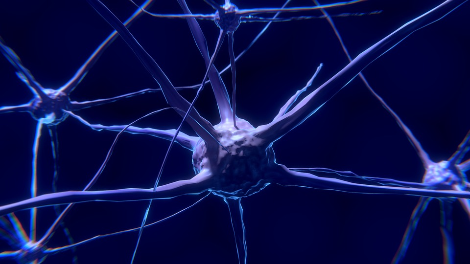 El covid grave puede provocar un daño cognitivo equivalente a 20 años de envejecimiento El covid grave puede provocar un daño cognitivo equivalente a 20 años de envejecimiento