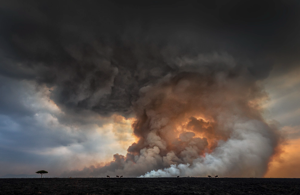 GALERÍA: El Memorial María Luisa reúne las fotografías y vídeos más espectaculares en su edición 2022 GALERÍA: El Memorial María Luisa reúne las fotografías y vídeos más espectaculares en su edición 2022