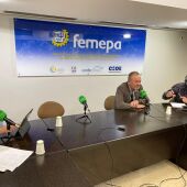 FEMEPA