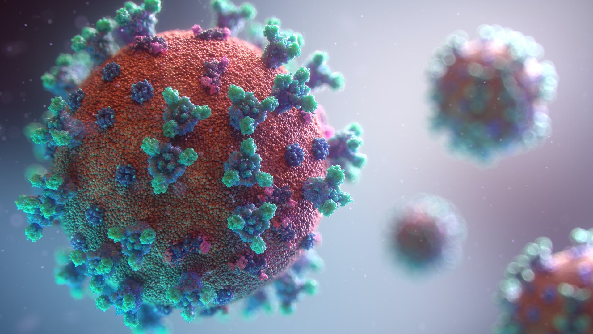 Desciende un 19% el número de hospitalizados por coronavirus en la última semana en la Comunitat Desciende un 19% el número de hospitalizados por coronavirus en la última semana en la Comunitat