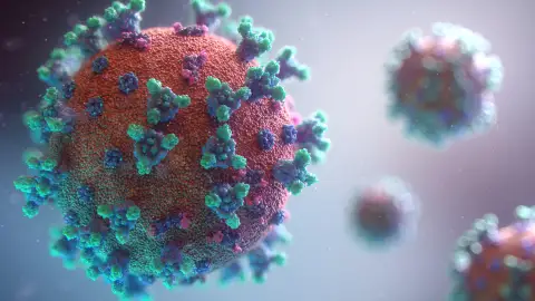 Imagen del coronavirus. ARCHIVO.