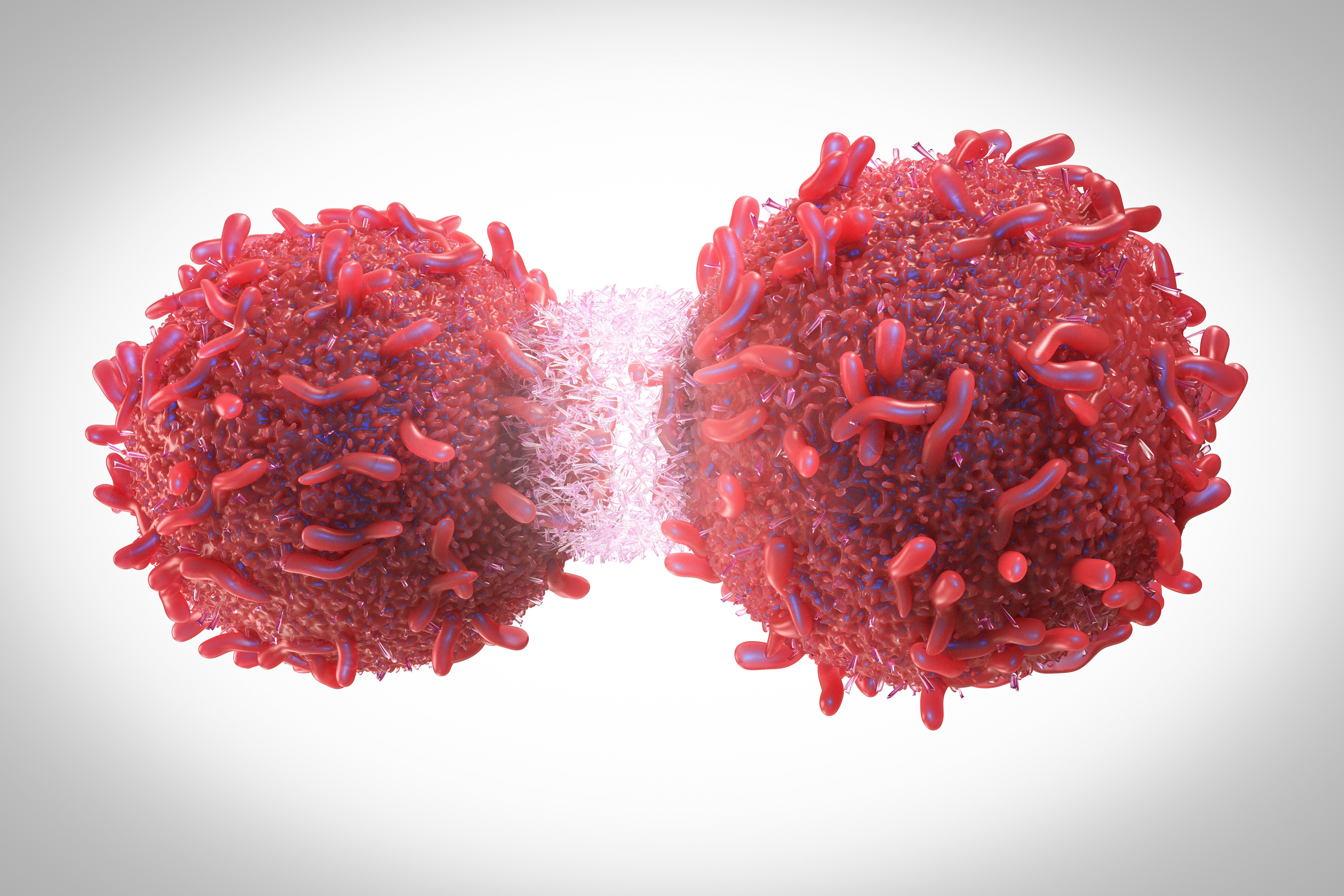 Euskadi lidera un tratamiento contra el cáncer metastásico Euskadi lidera un tratamiento contra el cáncer metastásico