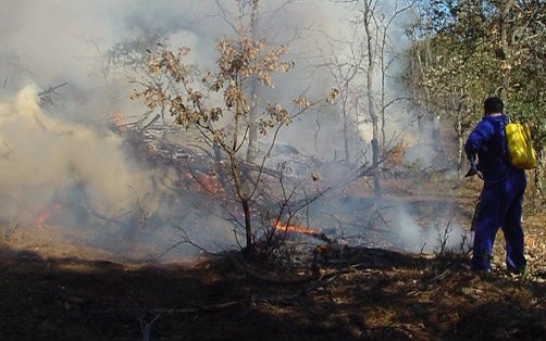 Desde el miércoles 11 de mayo quedará prohibida la quema restos vegetales amontonados en Extremadura Desde el miércoles 11 de mayo quedará prohibida la quema restos vegetales amontonados en Extremadura