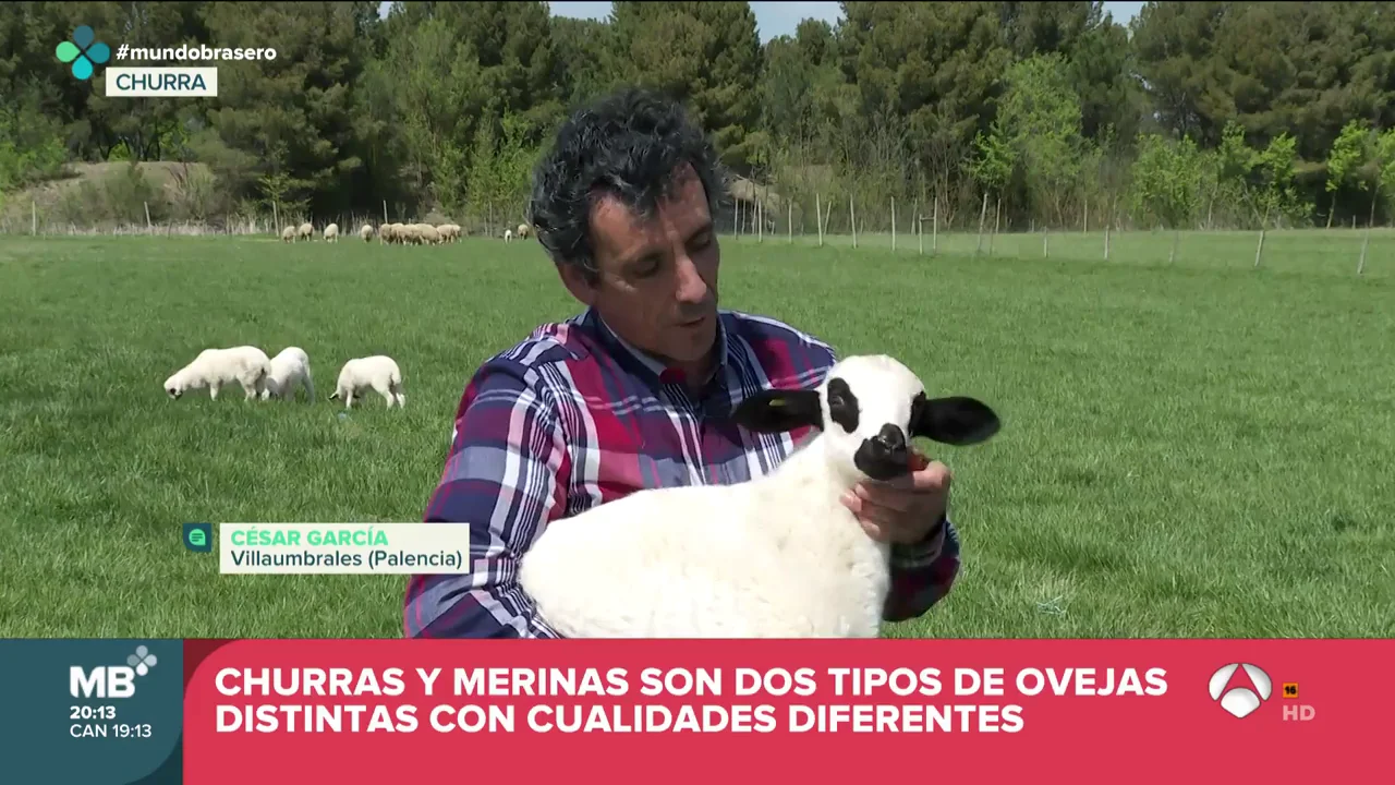 VÍDEO: El programa Mundo Brasero se acercaba este domingo hasta Villaumbrales VÍDEO: El programa Mundo Brasero se acercaba este domingo hasta Villaumbrales