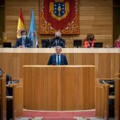 Alfonso Rueda na súa comparecencia no Parlamento galego