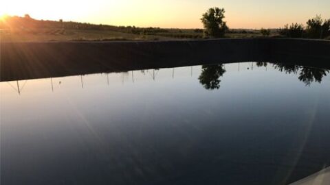 AGRICULTURA Y MEDIO AMBIENTE